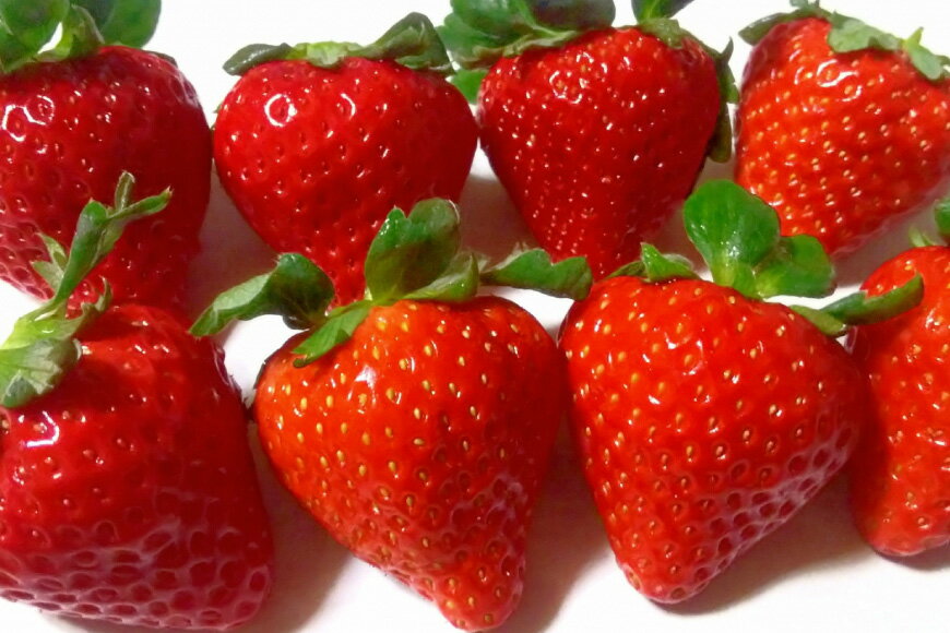 【ふるさと納税】 【期間限定発送】CG069 長崎県知事賞受賞【 大玉 いちご 】「 恋みのり (3L〜5L)」265g×4パック ＜1〜5月にお届け＞ レビューキャンペーン サムネイル3