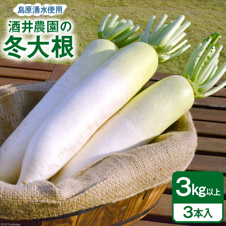 AG080 酒井農園の冬大根 3kg以上（3本入）