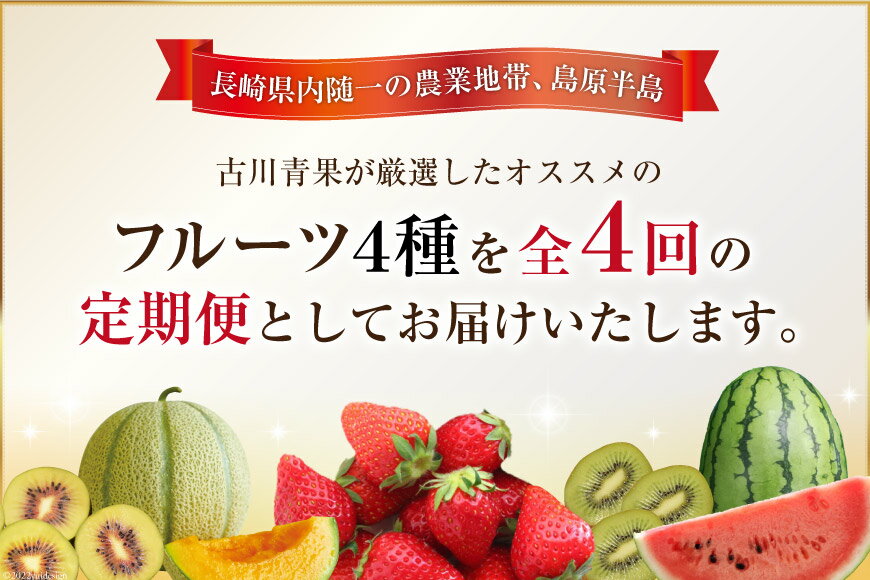 【ふるさと納税】 【全4回】BG083 厳選！島原の人気フルーツ定期便 サムネイル2