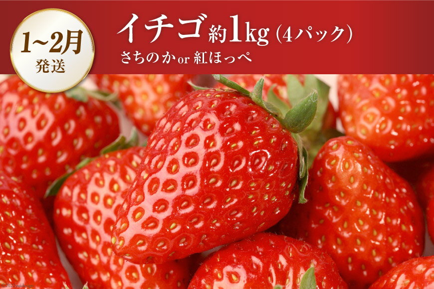 【ふるさと納税】 【全4回】BG083 厳選！島原の人気フルーツ定期便 サムネイル3