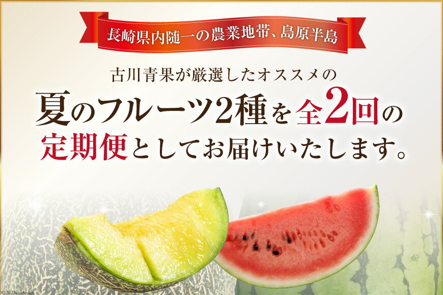 【ふるさと納税】 AG131【令和8年度出荷分】 全2回 厳選！夏の人気フルーツ定期便 サムネイル2