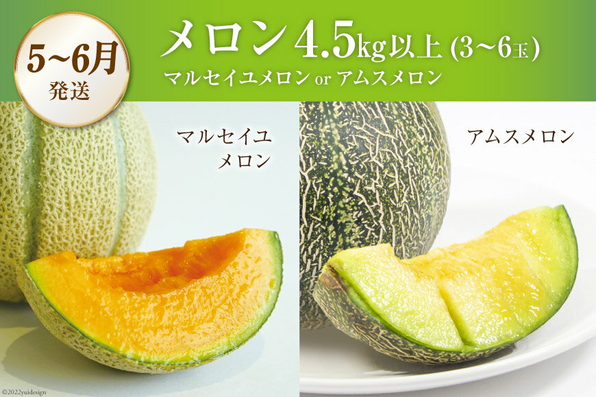 【ふるさと納税】 AG131【令和8年度出荷分】 全2回 厳選！夏の人気フルーツ定期便 サムネイル3