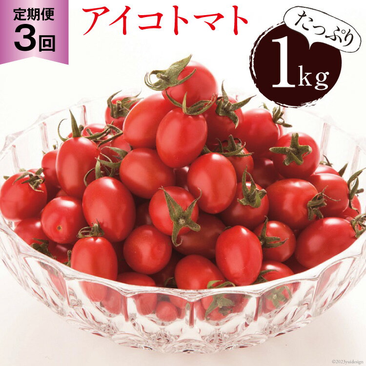 AG136【3回定期便】全国にファンがいる高級フルーツトマト アイコ たっぷり！1kg [トマト フルーツトマト 1キロ 定期 山口農園 長崎県 島原市]