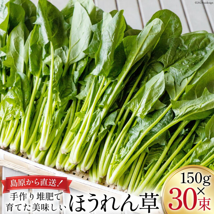 CH011 ほうれん草 150g×30束[ホウレンソウ 野菜]
