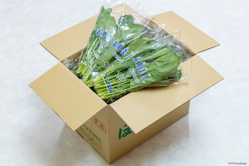 【ふるさと納税】 CH011 ほうれん草 150g×30束[ホウレンソウ 野菜] - 画像2