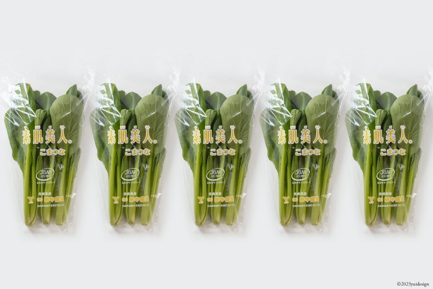 【ふるさと納税】 【BH012】小松菜 150g×5束 - 画像2