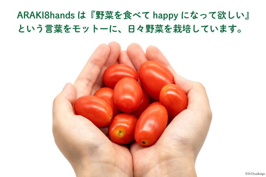 【ふるさと納税】 AH067【小分けでうれしい♪】アイコトマト2.4kg（200g×12袋） - 画像2