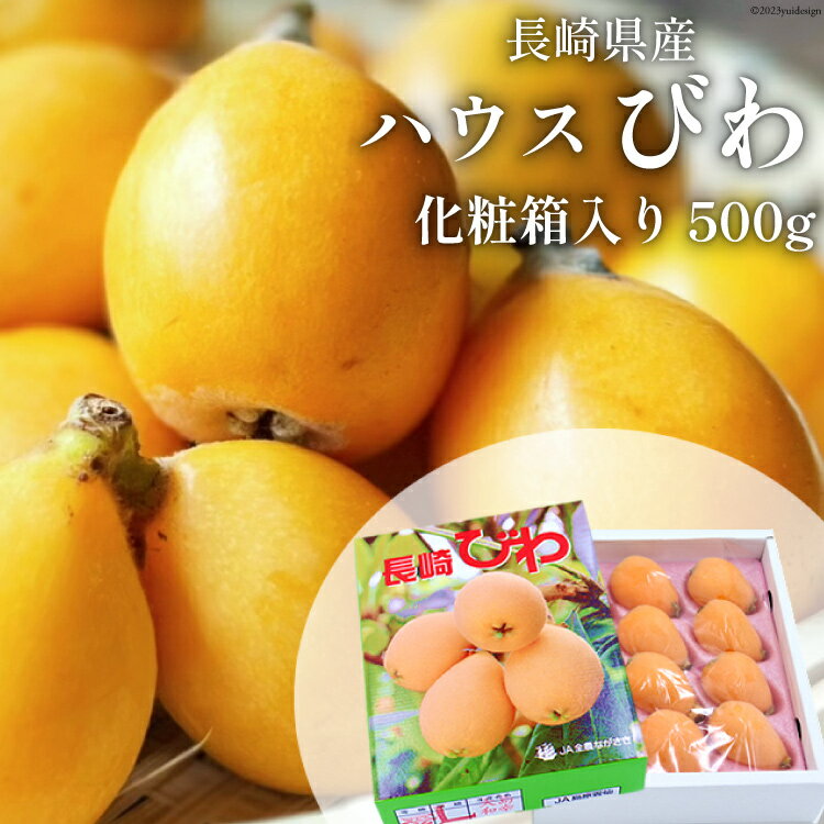 AH093 【期間限定発送】長崎県産 ハウスびわ 約500g 化粧箱入り [ フルーツ 果物 くだもの びわ ビワ 枇杷 数量限定 季節限定 初夏 冷蔵 長崎県 島原市 ]