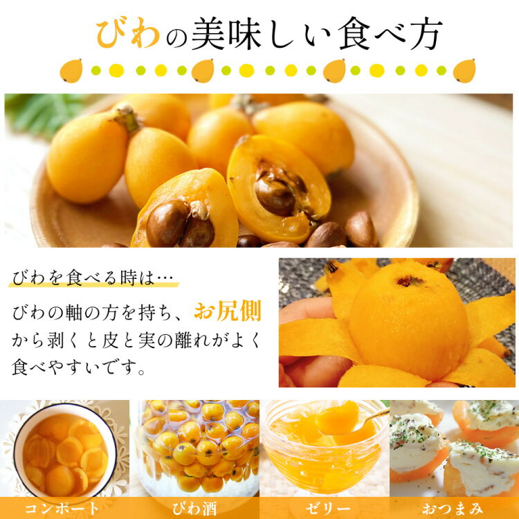 【ふるさと納税】 AH093 【期間限定発送】長崎県産 ハウスびわ 約500g 化粧箱入り [ フルーツ 果物 くだもの びわ ビワ 枇杷 数量限定 季節限定 初夏 冷蔵 長崎県 島原市 ] サムネイル3