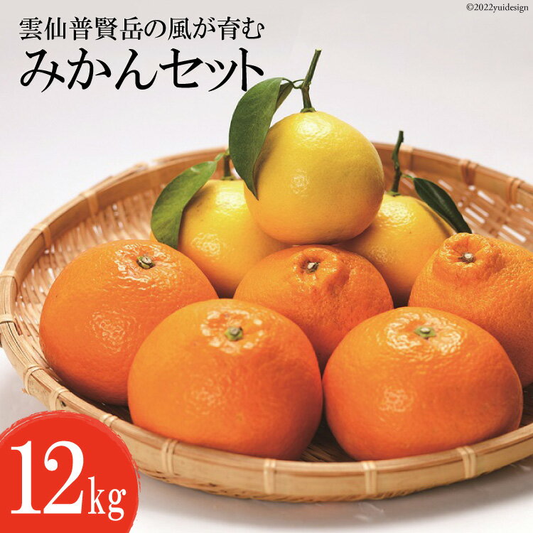 CA040 雲仙普賢岳の風が育む みかんセット 12kg [みかん ミカン 旬 12キロ 長崎県 島原市]