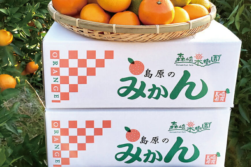 【ふるさと納税】 CC003 森崎果樹園のこだわり旬のみかんセット 10kg [みかん ミカン 旬 10キロ 長崎県 島原市] サムネイル3