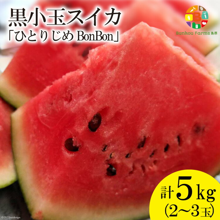 【令和8年度出荷分】BE275 黒小玉スイカ「ひとりじめBonBon」 5kg(1.7kg以上×2~3玉) ～名水百選の里 島原産～ [ Bunkou Farms 島原 合同会社 島原市 BE275 ]