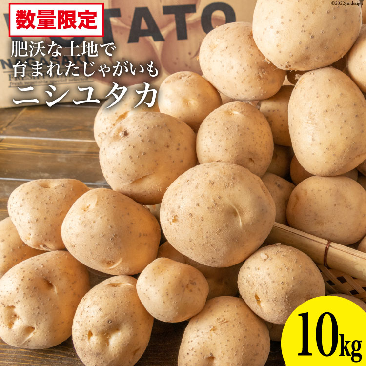 AG092 【令和8年度出荷分】肥沃な土地で育まれた じゃがいも （ニシユタカ）＜数量限定＞ 春