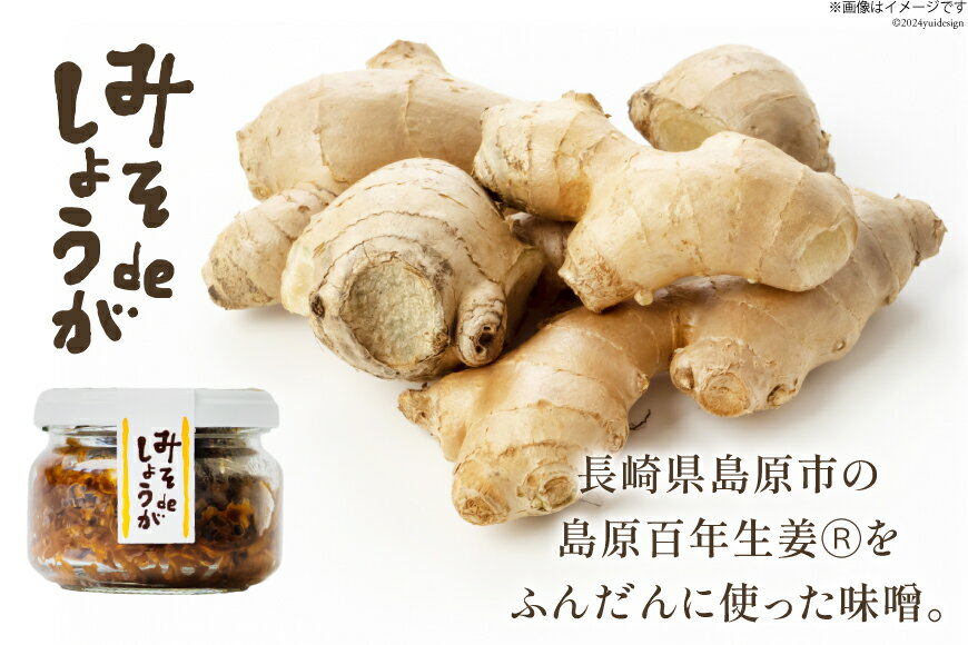 【ふるさと納税】 みそdeしょうが 100g 選べる個数[ 1個 4個 生姜 しょうが ショウガ 味噌 みそ お供 薬味 保存料 添加物 不使用 国産 松本農園 人作 長崎県 島原市 422037015] サムネイル2