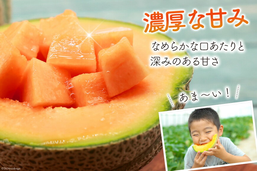 【ふるさと納税】 BI112 【令和8年度出荷分】 島原赤肉メロン「マルセイユ」（3L×2玉） [ メロン めろん マルセイユ 赤肉 フルーツ 果物 小原商店 長崎県 島原市 ] サムネイル3