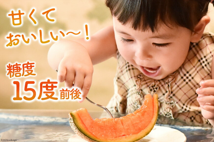 【ふるさと納税】 BI113 【令和8年度出荷分】 島原赤肉メロン「マルセイユ」（3L×3玉） [ メロン めろん マルセイユ 赤肉 フルーツ 果物 小原商店 長崎県 島原市 ] サムネイル2