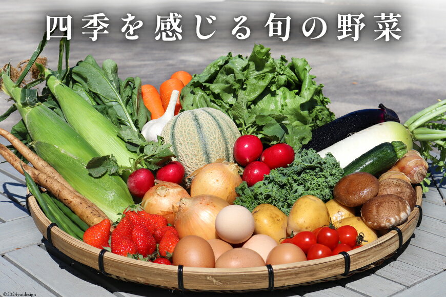 【ふるさと納税】 野菜 フルーツ 卵 旬のおまかせ セット (野菜・フルーツ14〜16品目、卵6玉) [ 野菜セット 定期便 3回 6回 12回 果物 たまご 鶏卵 産地直送 厳選 長崎県 島原市 422037021] レビューキャンペーン サムネイル3
