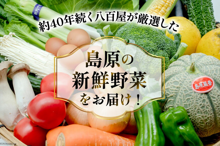 【ふるさと納税】 旬の野菜 フルーツ (12〜14品目) 卵 6個 おまかせ セット [ 野菜 定期便 3回 6回 12回 野菜セット 果物 くだもの たまご 鶏卵 詰め合わせ フードショップ江戸屋 長崎県 島原市 422037022]レビューキャンペーン サムネイル3