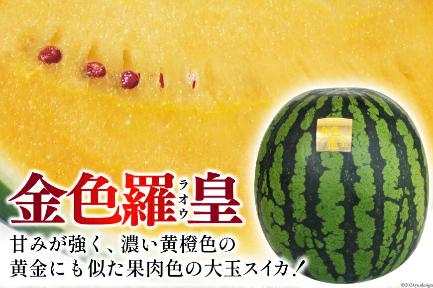 【ふるさと納税】 BG075【令和8年度出荷分】幻のゴールデンスイカ！～金色羅皇（ラオウ）～（7～12kg） [先行予約 数量限定 すいか スイカ 西瓜 フルーツ 果物 長崎 長崎県 島原市] サムネイル2