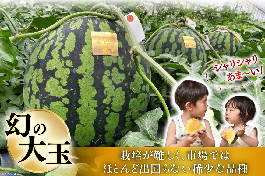 【ふるさと納税】 BG075【令和8年度出荷分】幻のゴールデンスイカ！～金色羅皇（ラオウ）～（7～12kg） [先行予約 数量限定 すいか スイカ 西瓜 フルーツ 果物 長崎 長崎県 島原市] サムネイル3