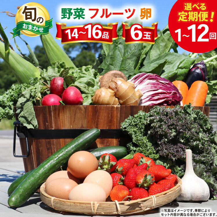 野菜 フルーツ 卵 旬のおまかせ セット (野菜・フルーツ14〜16品目、卵6玉) [ 野菜セット 定期便 3回 6回 12回 果物 たまご 鶏卵 産地直送 厳選 長崎県 島原市 422037021] レビューキャンペーン