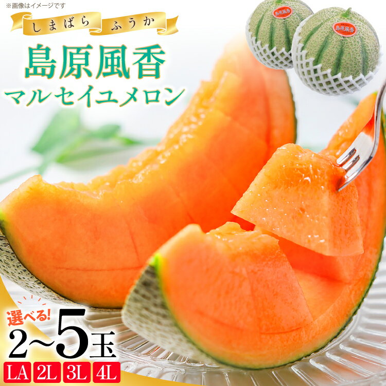 【令和8年度出荷分】マルセイユメロン～島原風香～ 選べるサイズ 個数 [ 2玉 4玉 5玉 メロン 赤肉 めろん 果物 くだもの フルーツ 産地直送 長崎県 島原市 422037023]