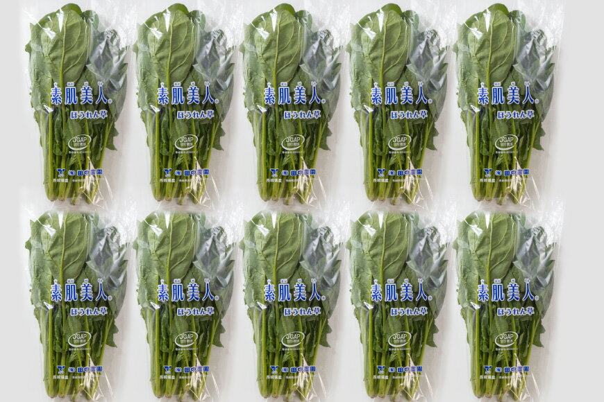 【ふるさと納税】 AI323 定期便 3回 ほうれん草 10束 [ 野菜 ホウレン草 やさい ホウレンソウ 冷蔵 葉物野菜 田中農園 長崎県 島原市 ] - 画像2