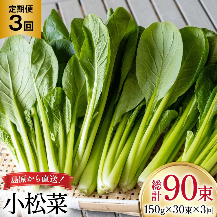 AI332 定期便 3回 小松菜 30束 [ 野菜 こまつな やさい 冷蔵 葉物野菜 田中農園 長崎県 島原市 ]