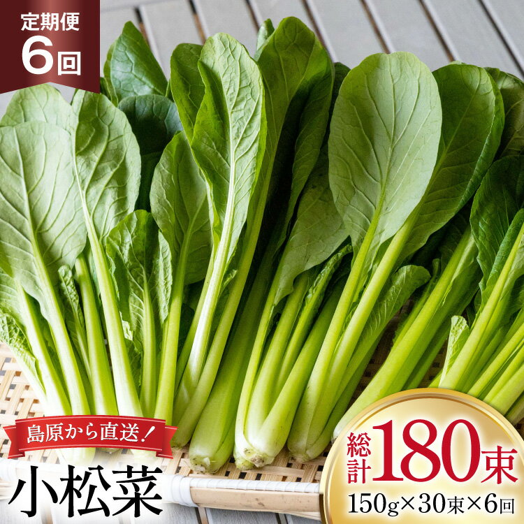 AI333 定期便 6回 小松菜 30束 [ 野菜 こまつな やさい 冷蔵 葉物野菜 田中農園 長崎県 島原市 ]