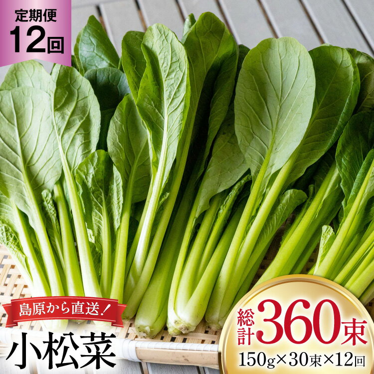 AI334 定期便 12回 小松菜 30束 [ 野菜 こまつな やさい 冷蔵 葉物野菜 田中農園 長崎県 島原市 ]