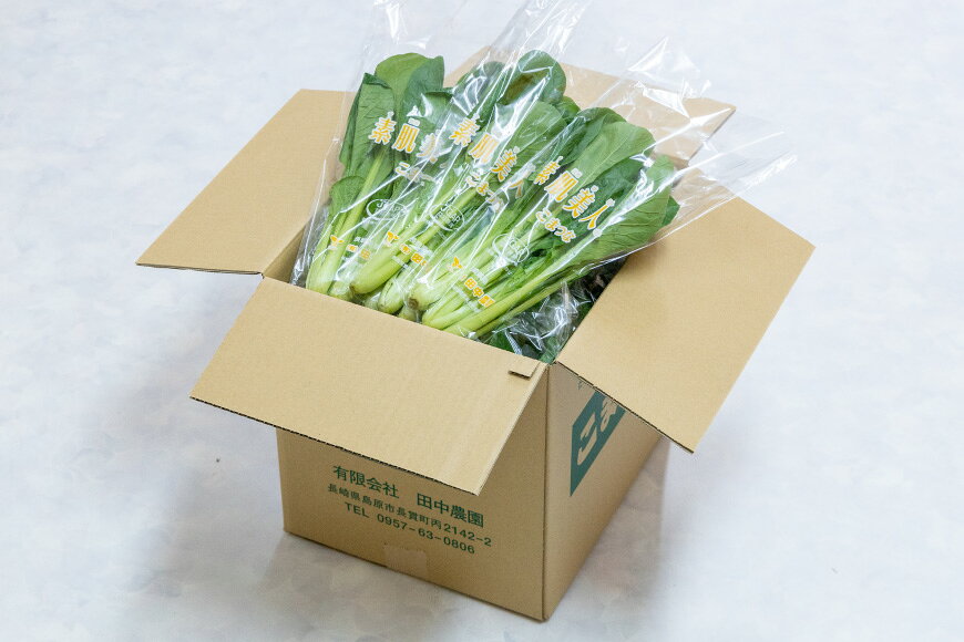 【ふるさと納税】 AI334 定期便 12回 小松菜 30束 [ 野菜 こまつな やさい 冷蔵 葉物野菜 田中農園 長崎県 島原市 ] - 画像2