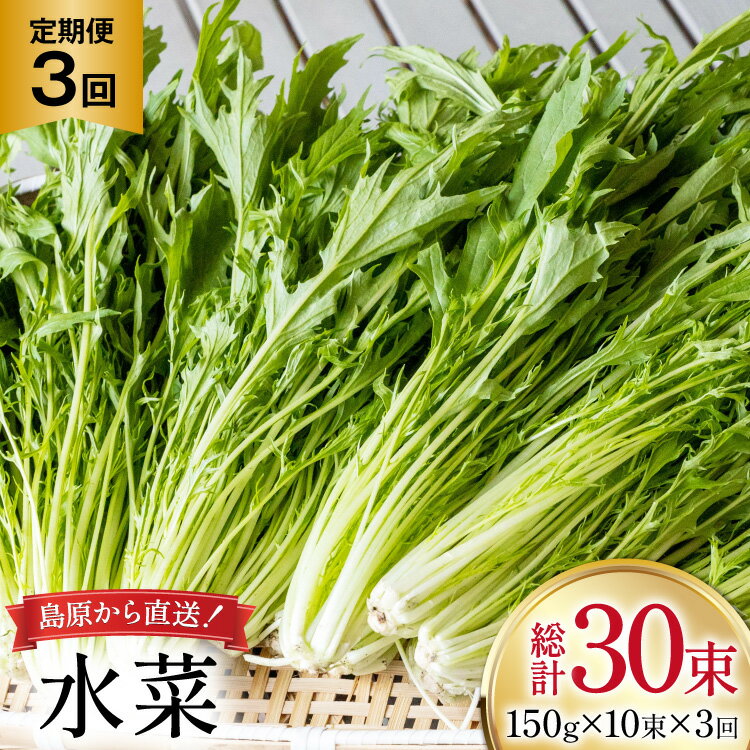 AI335 定期便 3回 水菜 10束 [ 野菜 みずな サラダ やさい 冷蔵 葉物野菜 田中農園 長崎県 島原市 ]