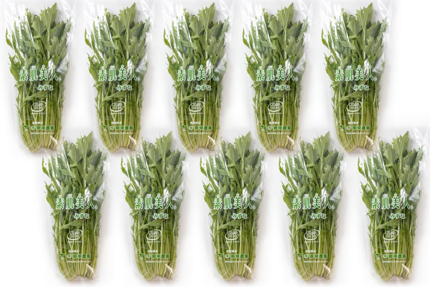 【ふるさと納税】 AI336 定期便 6回 水菜 10束 [ 野菜 みずな サラダ やさい 冷蔵 葉物野菜 田中農園 長崎県 島原市 ] - 画像2