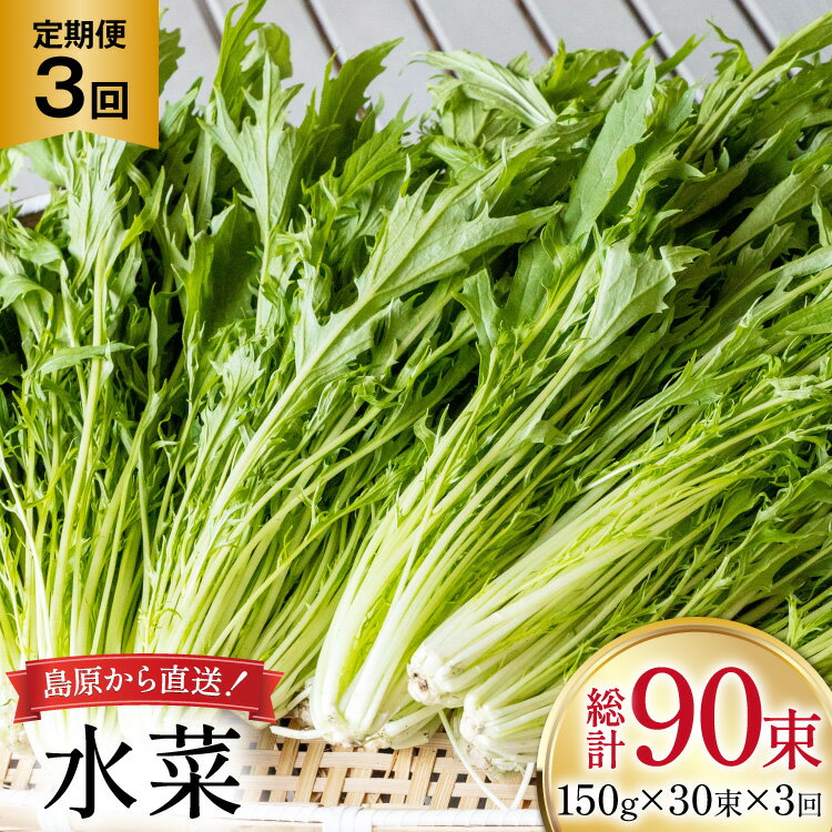 AI338 定期便 3回 水菜 30束 [ 野菜 みずな サラダ やさい 冷蔵 葉物野菜 田中農園 長崎県 島原市 ]