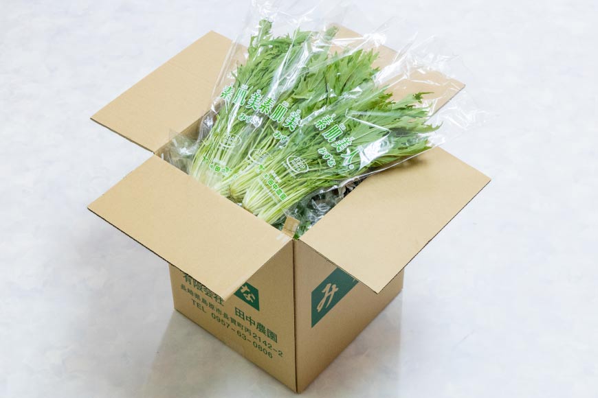 【ふるさと納税】 AI338 定期便 3回 水菜 30束 [ 野菜 みずな サラダ やさい 冷蔵 葉物野菜 田中農園 長崎県 島原市 ] - 画像2