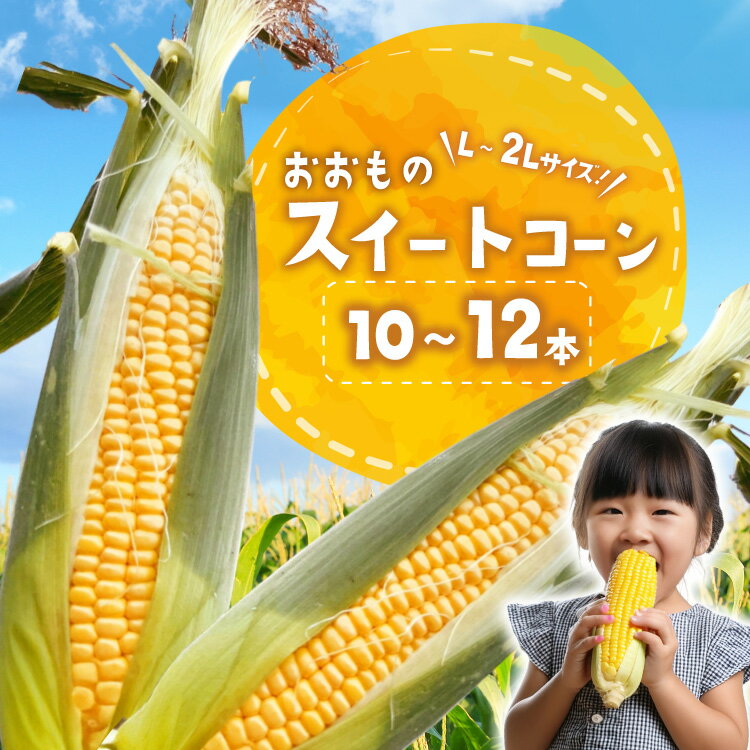 AI378 スイートコーン 10〜12本 L〜2Lサイズ おおもの [ とうもろこし コーン 野菜 やさい あまい 甘い おおもの 春 人作 長崎県 島原市 ]