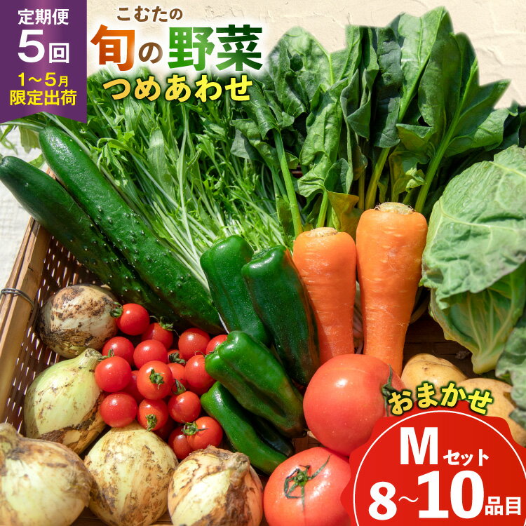 AJ434 【5回定期便】【1〜5月限定出荷】こむたの旬の野菜 (8〜10品目) おまかせMセット [ 野菜 やさい 旬 定期便 野菜セット 種類 人気 オススメ 新鮮 詰め合わせ 詰合せ こむた 小無田 青果 長崎県 島原市 ]