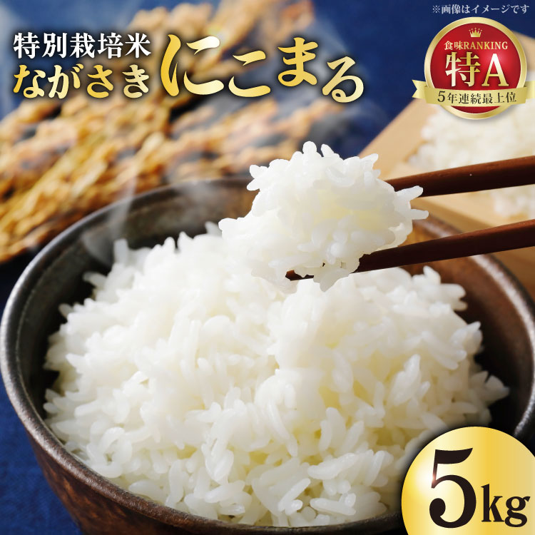 DA023 特別栽培米ながさきにこまる 5kg [ 白米 精米 ごはん ご飯 こめ おこめ 5キロ もちもち おにぎり 粘り おいしい 長崎県産 長崎県産米 長崎にこまる 長崎県 島原市 ]