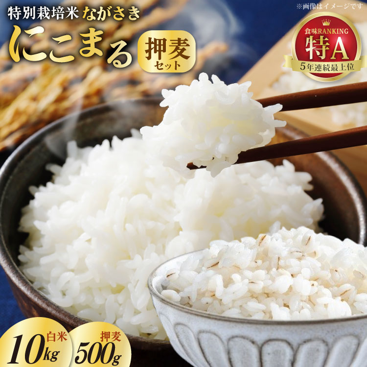 DA053 特別栽培米ながさきにこまる・押麦セット[ 白米 精米 ごはん ご飯 こめ おこめ もちもち おにぎり 粘り おいしい 長崎県産 長崎県産米 長崎にこまる 長崎県 島原市 ]