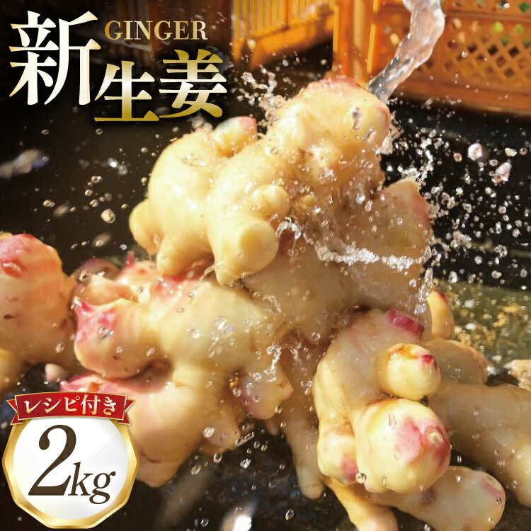BI380 島原百年生姜 新生姜 2kg [ 生姜 しょうが ショウガ 野菜 やさい ジンジャー 薬味 国産 人作 長崎県 島原市 ]