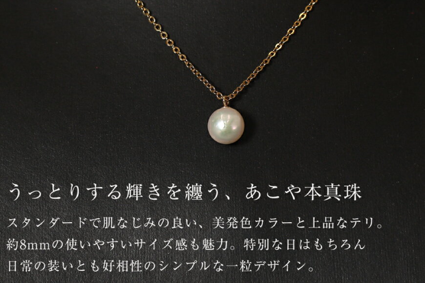 【ふるさと納税】 AI388 Marycoco あこや本真珠 8mm 一粒 パールネックレス ゴールド ケース付 [NA801-G ネックレス 一粒ネックレス パール 真珠 アコヤ真珠 本真珠 ジュエリー アクセサリー 金属アレルギー対応 メアリーココ 長崎県 島原市 ] サムネイル3