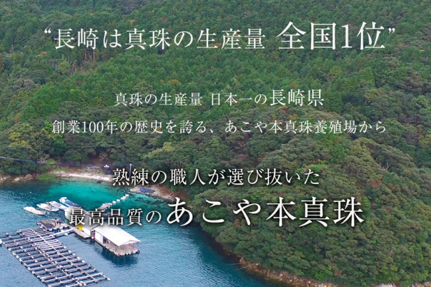 【ふるさと納税】 AI391 Marycoco あこや本真珠 8mm 一粒 パールネックレス サークルモチーフ ケース付 [N501R ネックレス 一粒ネックレス パール 真珠 アコヤ真珠 本真珠 ジュエリー アクセサリー 金属アレルギー対応 メアリーココ 長崎県 島原市 ] サムネイル2