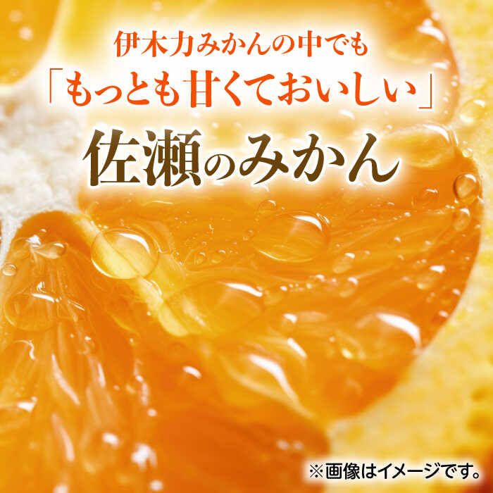 【ふるさと納税】 伊木力佐瀬みかん(早生)5kg(混合サイズ：S〜L)　/　みかん　佐瀬みかん　伊木力みかん　産地直送　産直　/　諫早市　/　山田果樹園[AHAJ003] サムネイル2