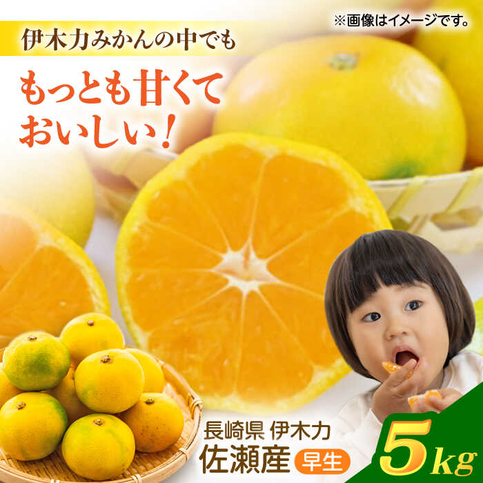 伊木力佐瀬みかん(早生)5kg(混合サイズ：S〜L)　/　みかん　佐瀬みかん　伊木力みかん　産地直送　産直　/　諫早市　/　山田果樹園[AHAJ003]