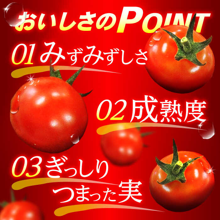 【ふるさと納税】愛果菜ミニトマト9P×1セット / トマト とまと ミニトマト プチトマト 愛果菜 / 諫早市 / 愛菜ファーム株式会社 [AHAK001] - 画像3