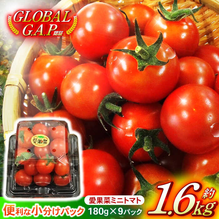 愛果菜ミニトマト9P×1セット / トマト とまと ミニトマト プチトマト 愛果菜 / 諫早市 / 愛菜ファーム株式会社 [AHAK001]