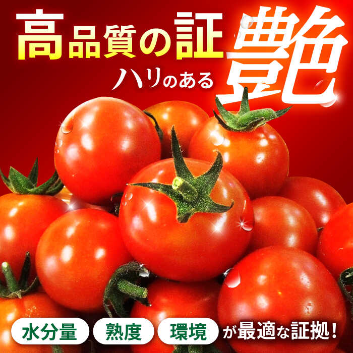 【ふるさと納税】愛果菜ミニトマト9P×3セット / ミニトマト プチトマト トマト とまと / 諫早市 / 愛菜ファーム株式会社 [AHAK003] - 画像2
