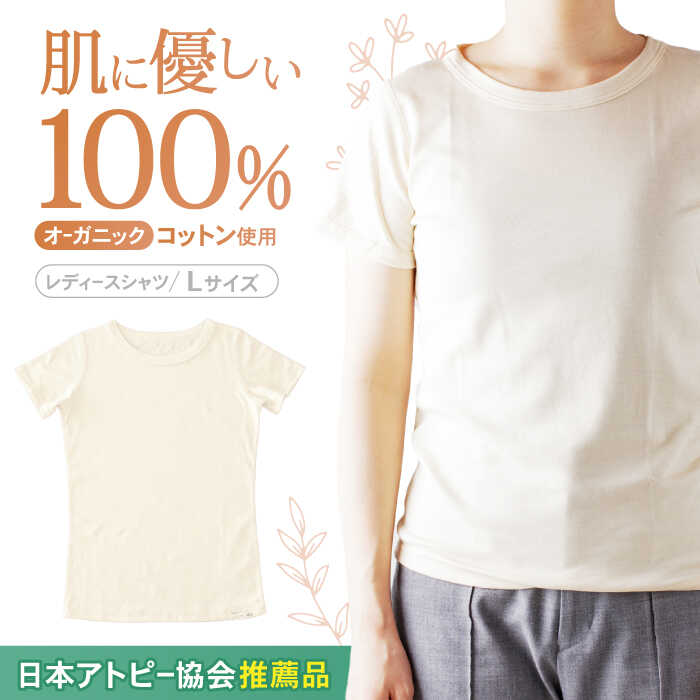 【日本アトピー協会推薦品】オーガニックコットン半袖Tシャツ（レディース / Lサイズ） / Tシャツ メンズ 綿 オーガニック 肌着 生成り / 諫早市 / 株式会社美泉 / 諫早市 / 株式会社美泉 [AHAP015]