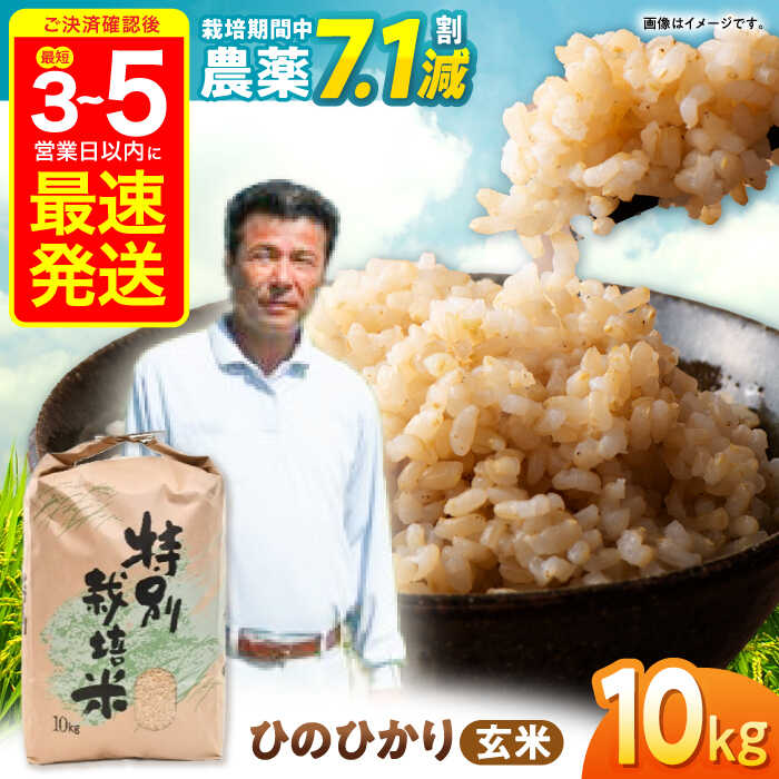 【R7年産】九州のこだわり「ひのひかり」玄米 10kg / 米 おこめ お米 コメ 玄米 ヒノヒカリ ひのひかり 長崎県産 / 諫早市 / 上島農産 [AHAS004]
