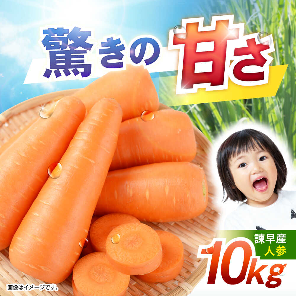 諫早産にんじん 10kg / にんじん ニンジン 人参 キャロット きゃろっと 野菜 やさい 10kg / 諫早市 / 松尾農園[AHAY030]